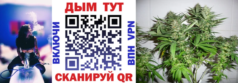 Канабис LSD WEED hydra сайт Куса